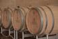 Preview: Lucale Primitivo 2023