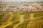 Preview: Weingut Flick Chardonnay