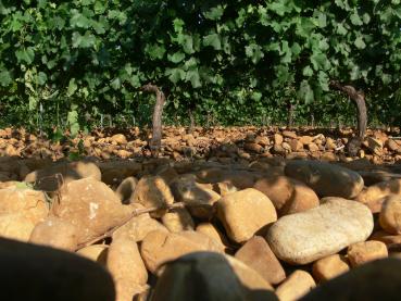 Preview: Pardevalles Albarin