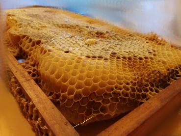 Preview: Obergrombacher Bienenhonig