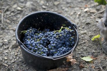 Preview: Domaine Lafage La Caumette