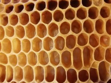 Preview: Obergrombacher Bienenhonig