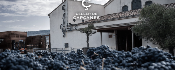 Celler de Capcanes Cava